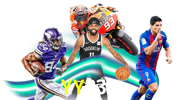 YY333
