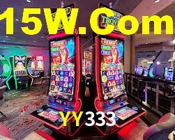 YY333